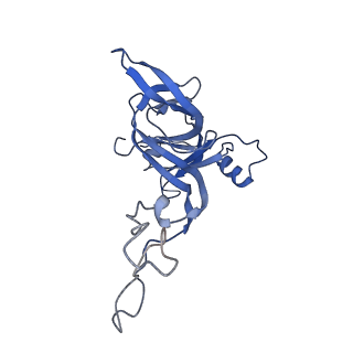 8937_6dzp_D_v1-1
Cryo-EM Structure of Mycobacterium smegmatis C(minus) 50S ribosomal subunit