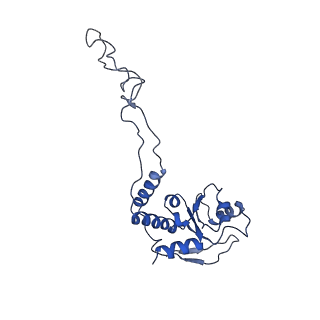 8937_6dzp_E_v1-1
Cryo-EM Structure of Mycobacterium smegmatis C(minus) 50S ribosomal subunit