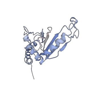 8937_6dzp_F_v1-1
Cryo-EM Structure of Mycobacterium smegmatis C(minus) 50S ribosomal subunit