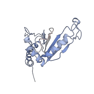 8937_6dzp_F_v1-2
Cryo-EM Structure of Mycobacterium smegmatis C(minus) 50S ribosomal subunit