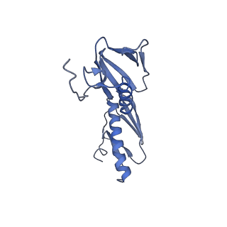 8937_6dzp_G_v1-1
Cryo-EM Structure of Mycobacterium smegmatis C(minus) 50S ribosomal subunit
