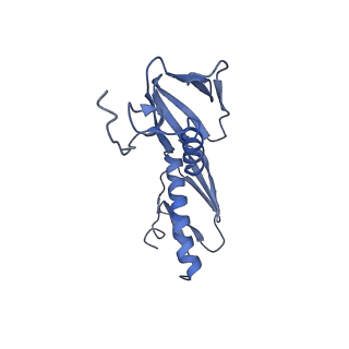 8937_6dzp_G_v1-2
Cryo-EM Structure of Mycobacterium smegmatis C(minus) 50S ribosomal subunit