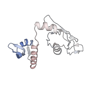 8937_6dzp_H_v1-1
Cryo-EM Structure of Mycobacterium smegmatis C(minus) 50S ribosomal subunit