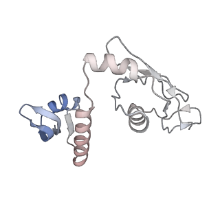 8937_6dzp_H_v1-2
Cryo-EM Structure of Mycobacterium smegmatis C(minus) 50S ribosomal subunit