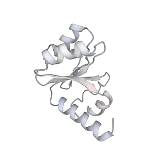 8937_6dzp_I_v1-1
Cryo-EM Structure of Mycobacterium smegmatis C(minus) 50S ribosomal subunit