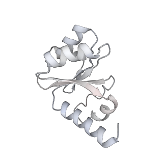 8937_6dzp_I_v1-2
Cryo-EM Structure of Mycobacterium smegmatis C(minus) 50S ribosomal subunit