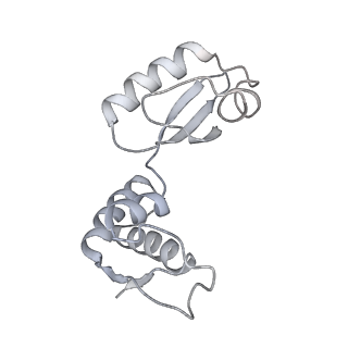 8937_6dzp_J_v1-1
Cryo-EM Structure of Mycobacterium smegmatis C(minus) 50S ribosomal subunit