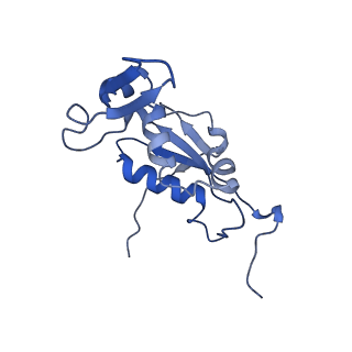 8937_6dzp_K_v1-1
Cryo-EM Structure of Mycobacterium smegmatis C(minus) 50S ribosomal subunit