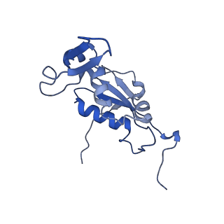 8937_6dzp_K_v1-2
Cryo-EM Structure of Mycobacterium smegmatis C(minus) 50S ribosomal subunit