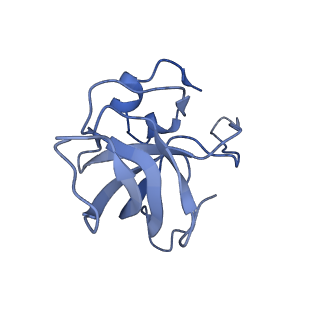 8937_6dzp_L_v1-2
Cryo-EM Structure of Mycobacterium smegmatis C(minus) 50S ribosomal subunit