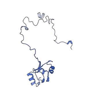 8937_6dzp_M_v1-1
Cryo-EM Structure of Mycobacterium smegmatis C(minus) 50S ribosomal subunit