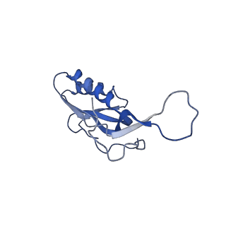 8937_6dzp_N_v1-1
Cryo-EM Structure of Mycobacterium smegmatis C(minus) 50S ribosomal subunit