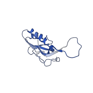 8937_6dzp_N_v1-2
Cryo-EM Structure of Mycobacterium smegmatis C(minus) 50S ribosomal subunit