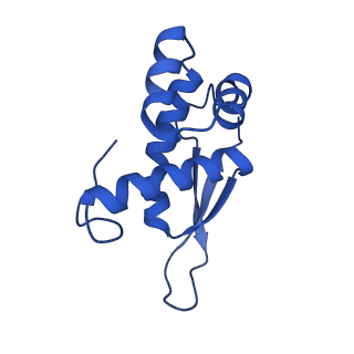 8937_6dzp_O_v1-1
Cryo-EM Structure of Mycobacterium smegmatis C(minus) 50S ribosomal subunit