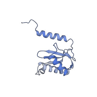 8937_6dzp_P_v1-1
Cryo-EM Structure of Mycobacterium smegmatis C(minus) 50S ribosomal subunit