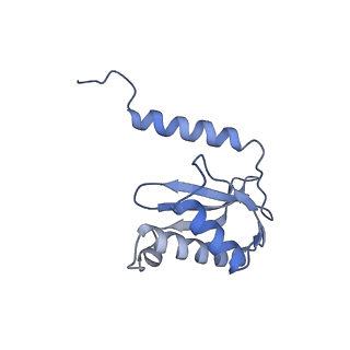 8937_6dzp_P_v1-2
Cryo-EM Structure of Mycobacterium smegmatis C(minus) 50S ribosomal subunit