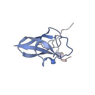 8937_6dzp_Q_v1-1
Cryo-EM Structure of Mycobacterium smegmatis C(minus) 50S ribosomal subunit