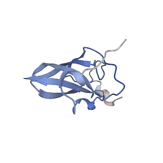 8937_6dzp_Q_v1-2
Cryo-EM Structure of Mycobacterium smegmatis C(minus) 50S ribosomal subunit