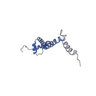 8937_6dzp_R_v1-1
Cryo-EM Structure of Mycobacterium smegmatis C(minus) 50S ribosomal subunit