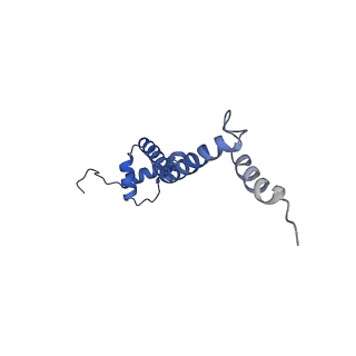 8937_6dzp_R_v1-2
Cryo-EM Structure of Mycobacterium smegmatis C(minus) 50S ribosomal subunit