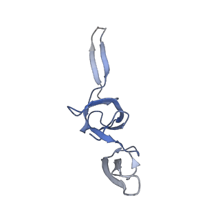 8937_6dzp_V_v1-2
Cryo-EM Structure of Mycobacterium smegmatis C(minus) 50S ribosomal subunit