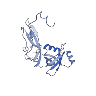 8937_6dzp_W_v1-2
Cryo-EM Structure of Mycobacterium smegmatis C(minus) 50S ribosomal subunit