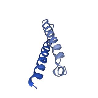 8937_6dzp_Z_v1-1
Cryo-EM Structure of Mycobacterium smegmatis C(minus) 50S ribosomal subunit