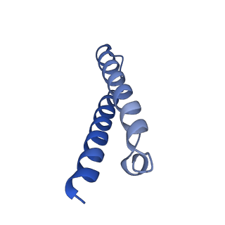 8937_6dzp_Z_v1-2
Cryo-EM Structure of Mycobacterium smegmatis C(minus) 50S ribosomal subunit
