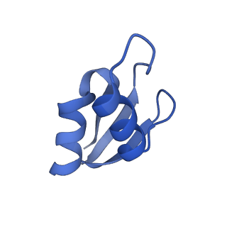 8937_6dzp_a_v1-1
Cryo-EM Structure of Mycobacterium smegmatis C(minus) 50S ribosomal subunit