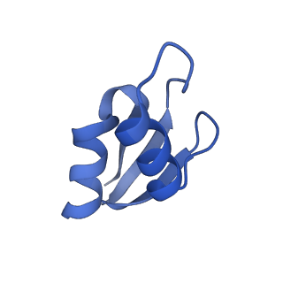 8937_6dzp_a_v1-2
Cryo-EM Structure of Mycobacterium smegmatis C(minus) 50S ribosomal subunit