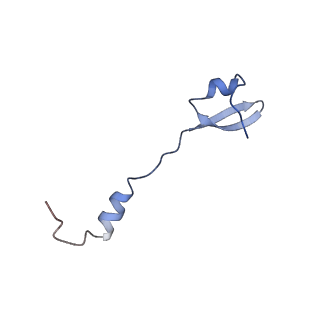 8937_6dzp_b_v1-1
Cryo-EM Structure of Mycobacterium smegmatis C(minus) 50S ribosomal subunit