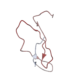 8937_6dzp_c_v1-2
Cryo-EM Structure of Mycobacterium smegmatis C(minus) 50S ribosomal subunit