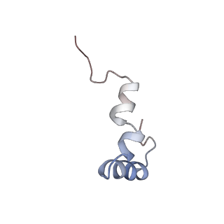8937_6dzp_d_v1-1
Cryo-EM Structure of Mycobacterium smegmatis C(minus) 50S ribosomal subunit