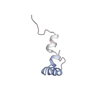 8937_6dzp_d_v1-2
Cryo-EM Structure of Mycobacterium smegmatis C(minus) 50S ribosomal subunit