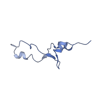 8937_6dzp_e_v1-1
Cryo-EM Structure of Mycobacterium smegmatis C(minus) 50S ribosomal subunit