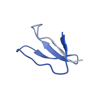 8937_6dzp_f_v1-2
Cryo-EM Structure of Mycobacterium smegmatis C(minus) 50S ribosomal subunit