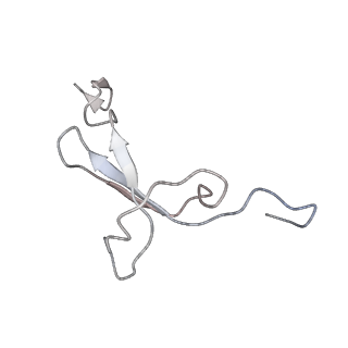 8937_6dzp_g_v1-2
Cryo-EM Structure of Mycobacterium smegmatis C(minus) 50S ribosomal subunit