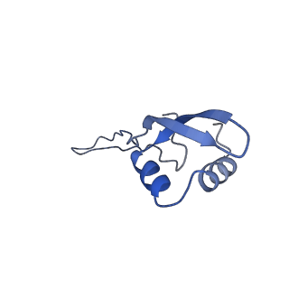 8937_6dzp_y_v1-2
Cryo-EM Structure of Mycobacterium smegmatis C(minus) 50S ribosomal subunit