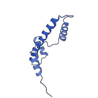 8938_6dzt_E_v1-5
Cryo-EM structure of nucleosome in complex with a single chain antibody fragment