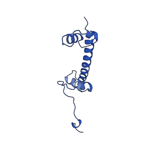 8938_6dzt_G_v1-5
Cryo-EM structure of nucleosome in complex with a single chain antibody fragment