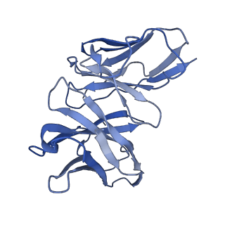8938_6dzt_M_v1-5
Cryo-EM structure of nucleosome in complex with a single chain antibody fragment