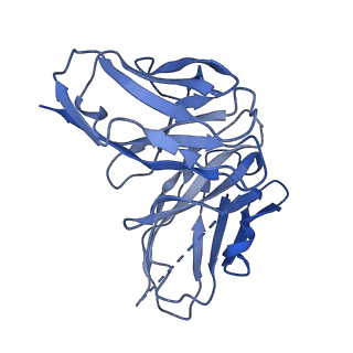 8938_6dzt_N_v1-5
Cryo-EM structure of nucleosome in complex with a single chain antibody fragment