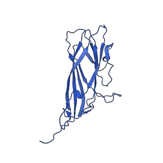 8939_6dzu_A1_v1-2
Mechanism of cellular recognition by PCV2