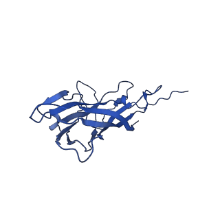 8939_6dzu_A3_v1-2
Mechanism of cellular recognition by PCV2