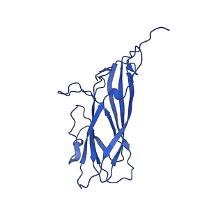 8939_6dzu_A6_v1-2
Mechanism of cellular recognition by PCV2