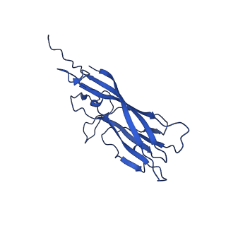 8939_6dzu_A7_v1-2
Mechanism of cellular recognition by PCV2