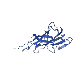 8939_6dzu_A8_v1-2
Mechanism of cellular recognition by PCV2