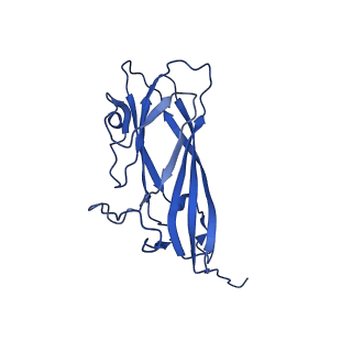 8939_6dzu_AB_v1-2
Mechanism of cellular recognition by PCV2