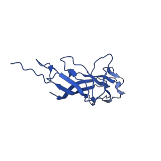 8939_6dzu_AD_v1-2
Mechanism of cellular recognition by PCV2