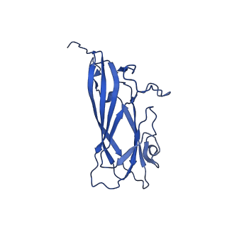 8939_6dzu_AG_v1-2
Mechanism of cellular recognition by PCV2